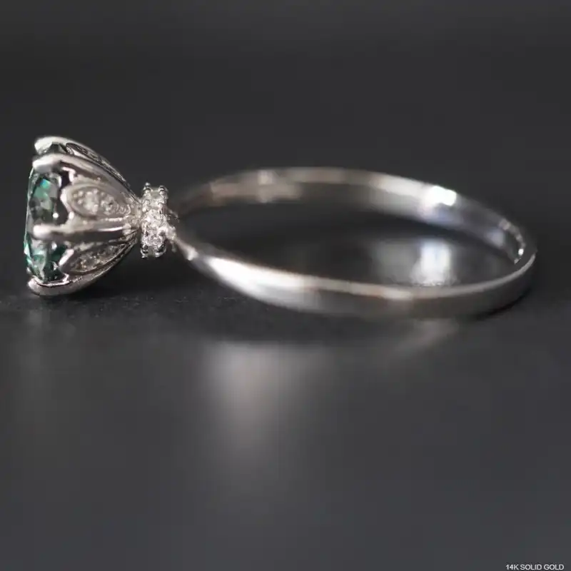 /public/photos/live/60 (2).webp